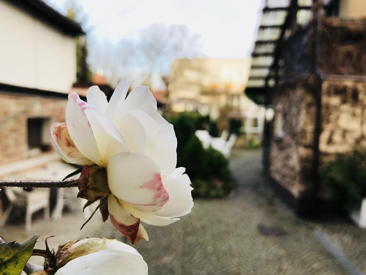 Villa Pod Orzechem W Zaniemyslu Exteriér fotografie